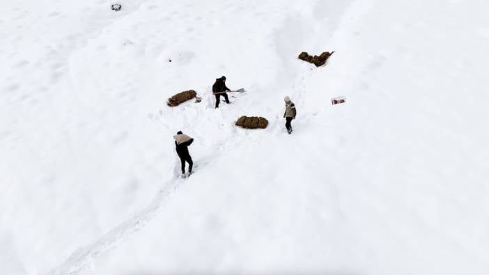 Soğuk kış günlerinde hayvanları unutmadılar