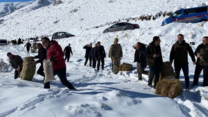 Karla kaplı Tortum dağlarına yabani hayvanlar için yem bırakıldı