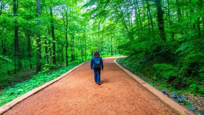 Belgrad Ormanı imara açılıyor. El atmadıkları orası kalmıştı