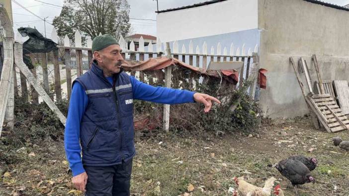 Hindi hırsızları yılbaşı yaklaşırken harekete geçti! Kümeslere dadandılar