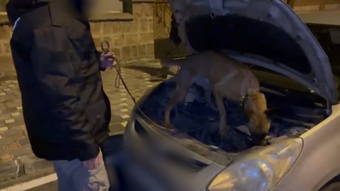 Aracın motorunda polis köpeği buldu