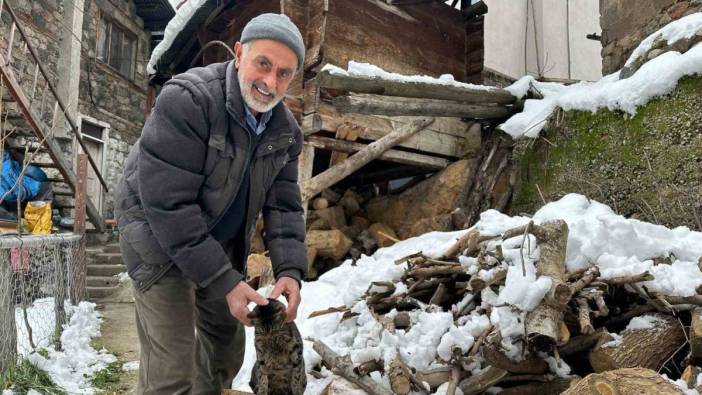 Artvin’de mahsur kalan kedileri için mücadelesi gönülleri ısıttı