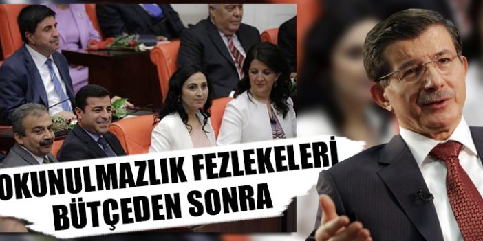 Davutoğlu'ndan dokunulmazlık açıklaması