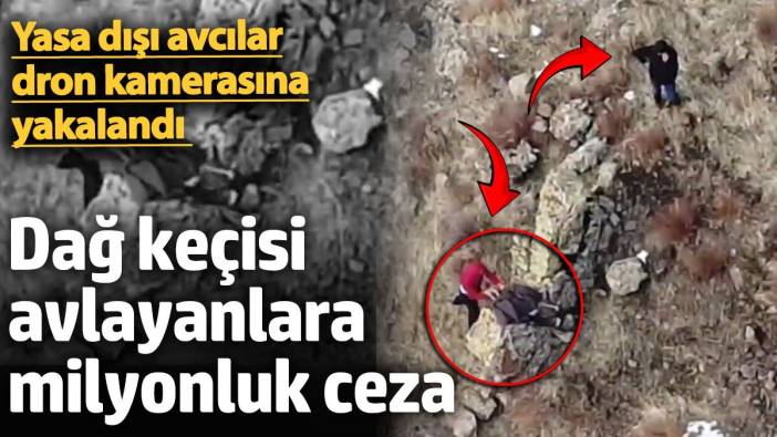 Yaban keçisi avlayanlara milyonluk ceza. Yasa dışı avcılar dron kamerasına yakalandı