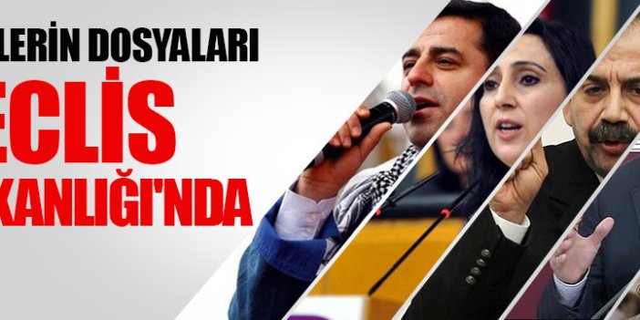 HDP'lilerin dosyaları Meclis Başkanlığı'nda
