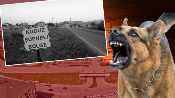 Elazığ'da kuduzdan ölüm! 9 yaşındaki Muhammed kurtarılamadı