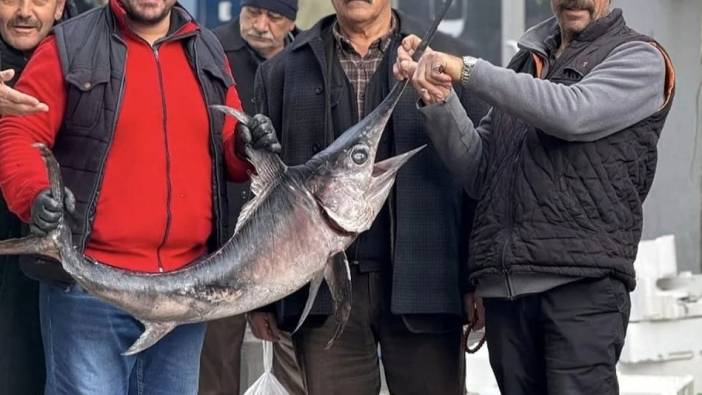 Kılıçbalığı, Karadeniz’den Erzincan’a geldi