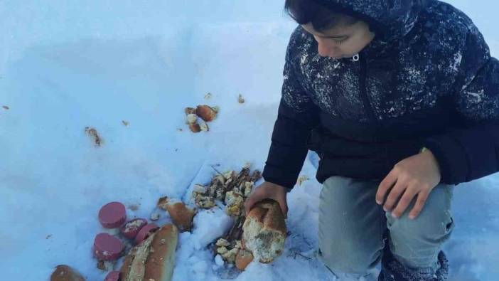 Öğrenciler hayvanlar için doğaya yiyecek bıraktı