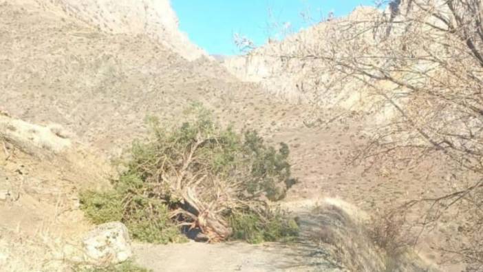 Adıyaman’da şiddetli rüzgar ağaçları savurdu