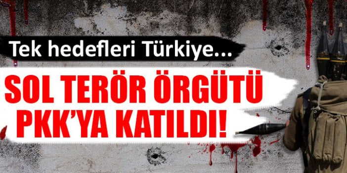 8 sol terör örgütü PKK'ya katıldı