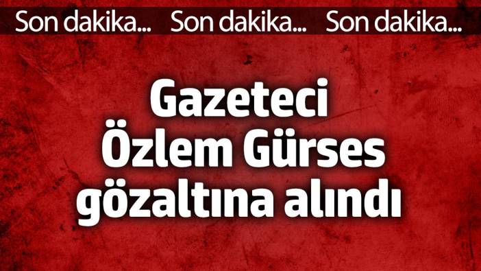 Gazeteci Özlem Gürses gözaltına alındı