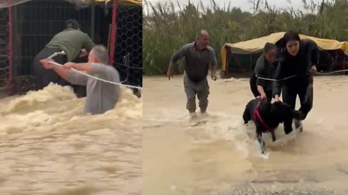 Selde mahsur kalan köpek böyle kurtarıldı