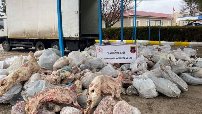 Elazığ’da tonlarca kaçak et ele geçirildi