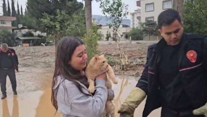 Adana'da kedisi için gözyaşlarına boğuldu