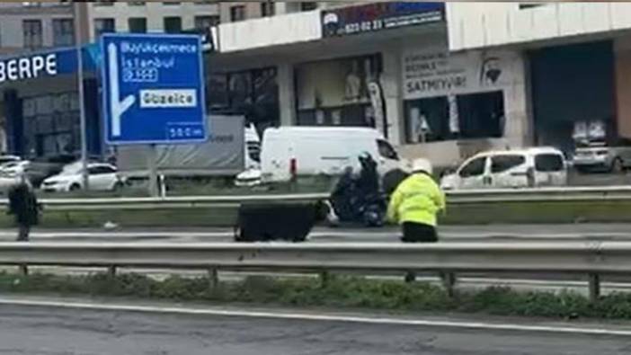 Görenler gözlerine inanamadı! Büyükçekmece E-5’e giren dana trafiği kilitledi