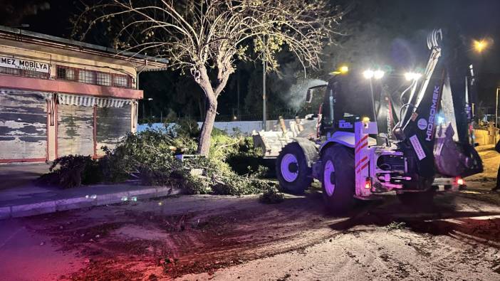 Fırtına ağaçları yerinden söktü, çatıları uçurdu