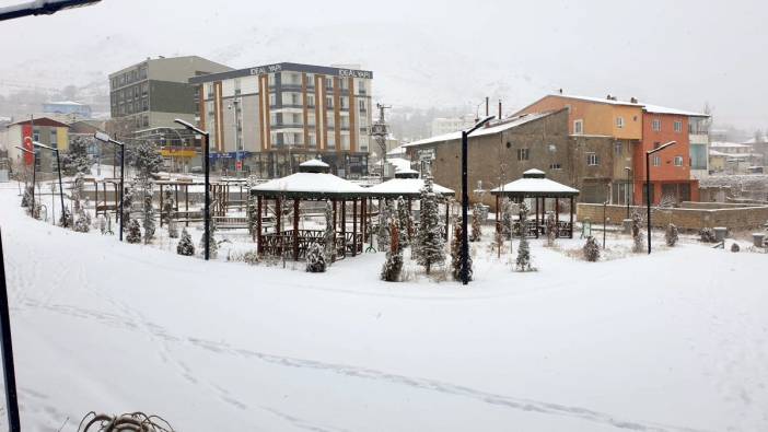 Van'da beyaza büründü: Yollar ulaşıma kapandı