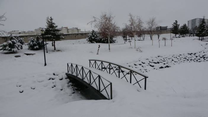 Yoğun kar yağışı Bitlis'i beyaza bürüdü