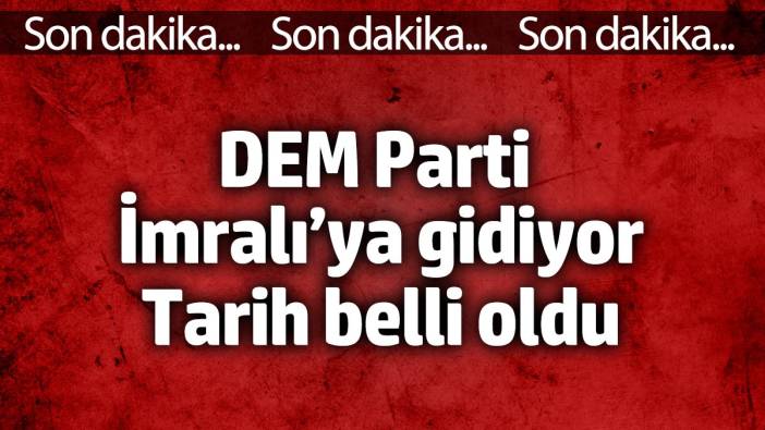 DEM Parti İmrali'ya gidiyor. Tarih verildi