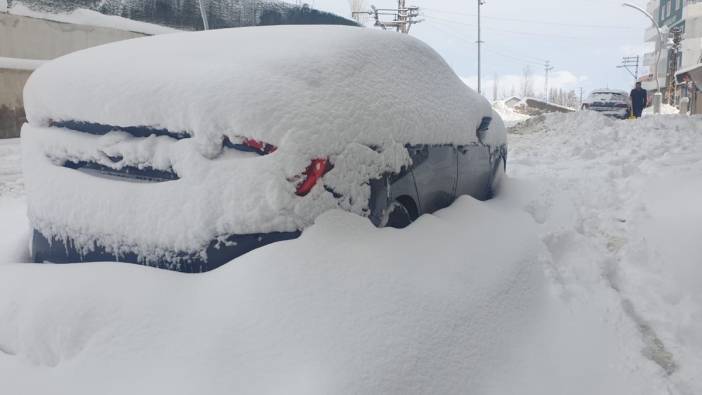 Van'da kar 420 yolu ulaşıma kapattı