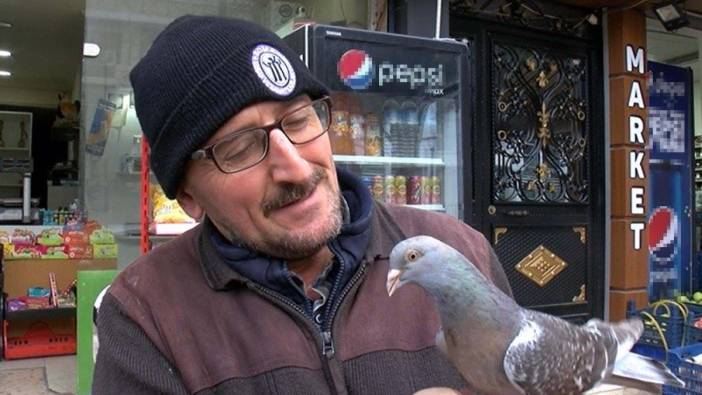 Manisa'da 'Osman' ismini verdiği güvercini omzunda taşıyor