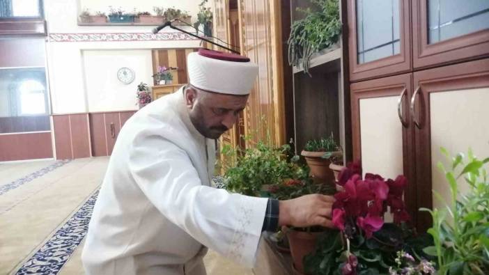 Tokatlı imam, caminin içini çiçek bahçesine çevirdi