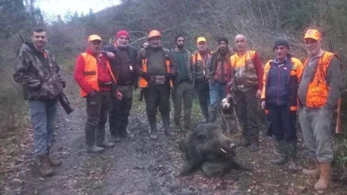 Kastamonu’nda avcılar aldığı kararla saldırgan domuzu avladı