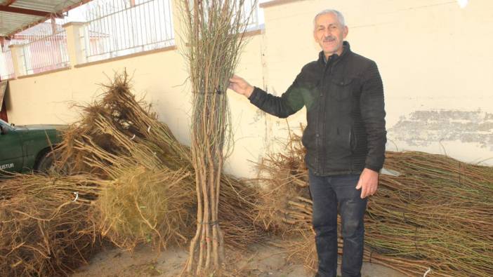 Bin badem fidanı dağıtıldı