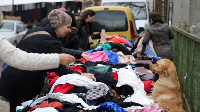 Edirne'de sokak hayvanları için büyük destek