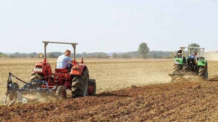 Türk tarım devi iflas etti. Dünyaya ihraç ediyordu