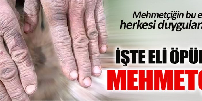 İşte eli öpülesi MEHMETÇİK