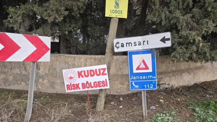 Hatay’da vatandaşlara saldıran köpek kuduz çıktı