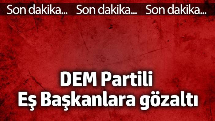 DEM Partili Eş Başkanlara gözaltı