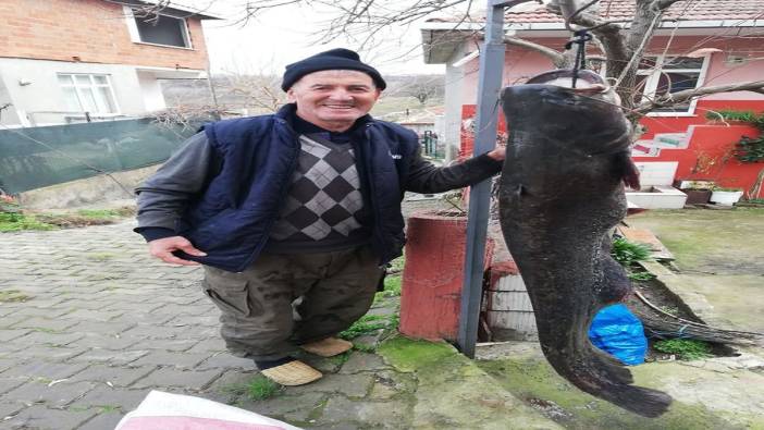 Görenler gözlerine inanamadı: 1,78 boyunda yayın balığı yakaladı