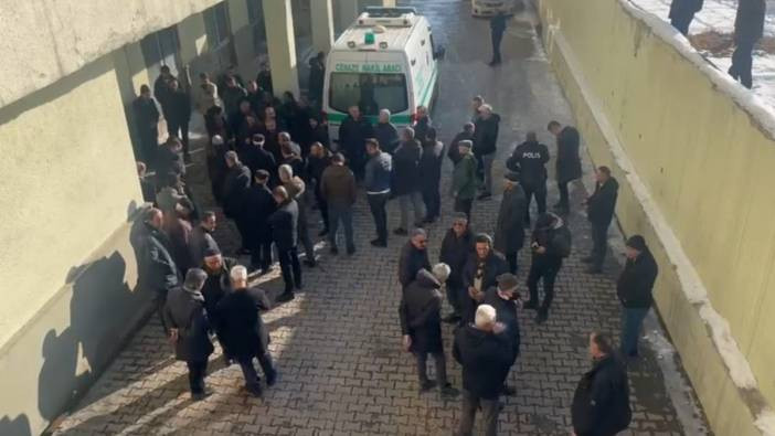 12 yaşındaki kız hayatını kaybetti. Sokak köpekleri saldırmıştı. Yüksekova'da dehşet