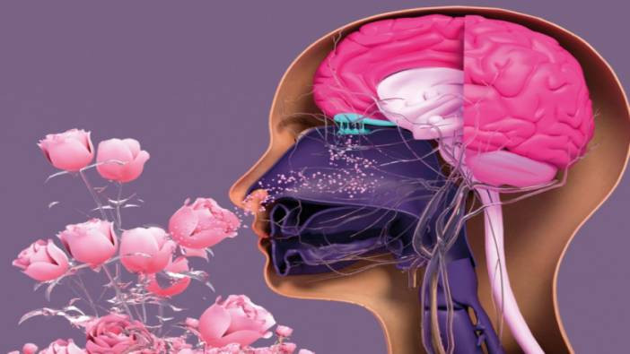 Yapay zeka koku duyusuyla hastalıkları kokluyor: Tıpta yeni bir dönem başlıyor!