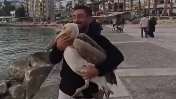Silifke'nin maskotu canlı pelikan oldu