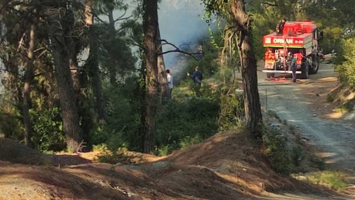 Hatay’da ormanlık alanda örtü yangını çıktı