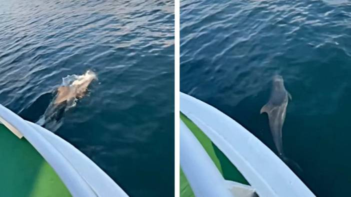 Yunus balıkçı teknesiyle böyle yarıştı! O anlar kameraya yansıdı