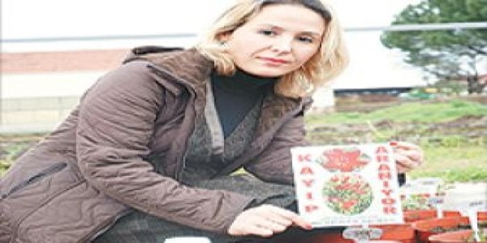 Kayıp 'lale' ilanla aranıyor!