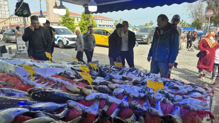 Balık fiyatları düştü