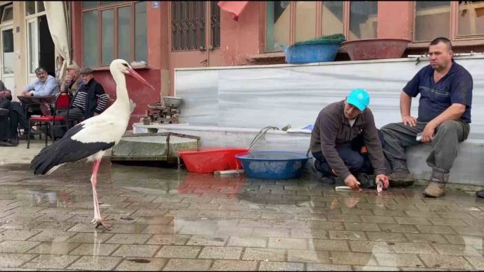 Yaren leyleğin ardından yeni hikaye