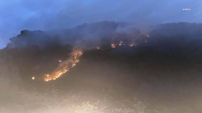 Giresun’daki orman yangınında son durum
