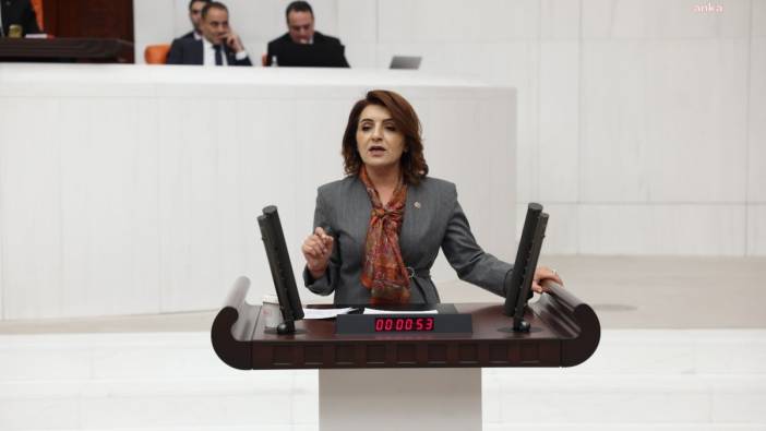 CHP'li Kış'tan iktidara çok sert 'Aile Yılı' çıkışı