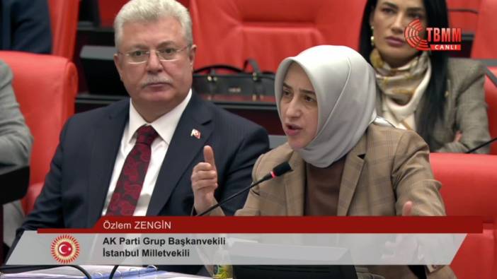 TBMM Genel Kurulu'nda CHP'li Başarır'a uyarma cezası