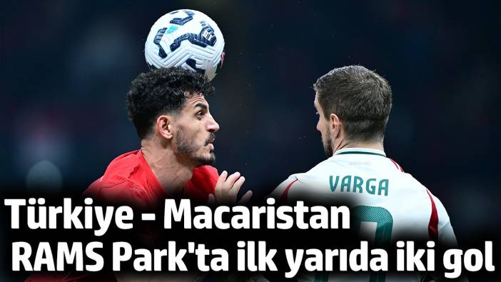 Türkiye - Macaristan 3 - 1