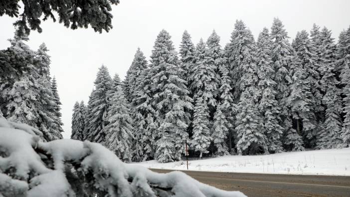 Bolu'nun yayla ve ormanlarında kar güzelliği!