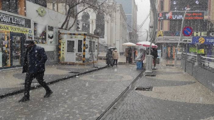 Van'da lapa lapa kar yağışı