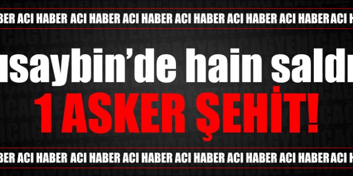 Nusaybin'den üst üste acı haber!