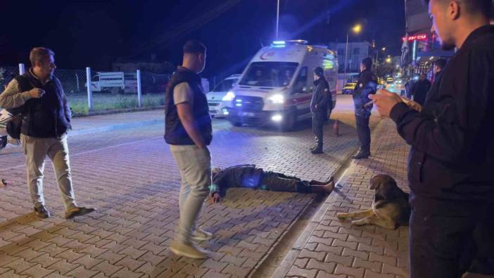 Alkol komasına giren şahsa köpeğin vefası!